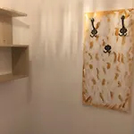Flori De Iulie * Braşov