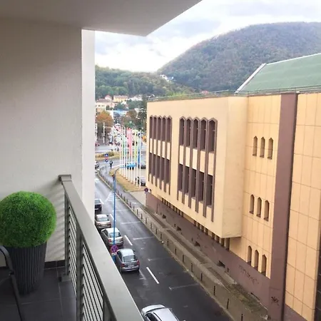 Flori De Iulie Braşov