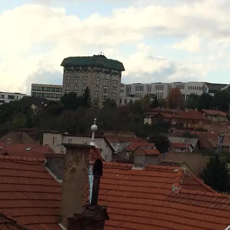 Flori De Iulie * Braşov