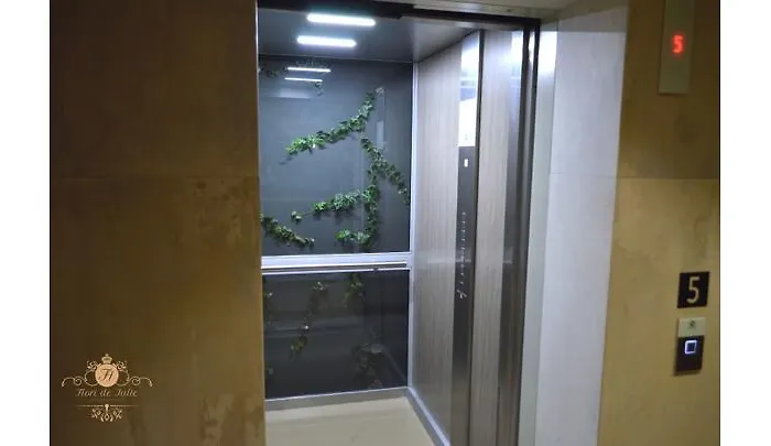 Flori De Iulie Apartment Brasov