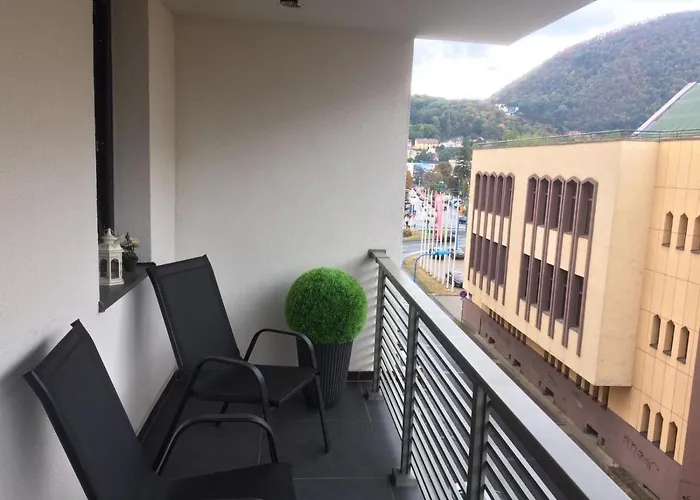 Flori De Iulie * Brasov