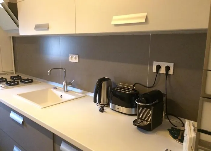 Flori De Iulie Brasov