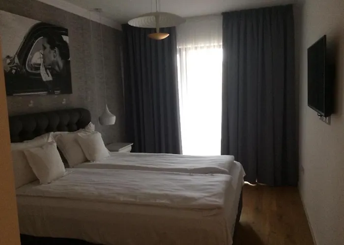 Flori De Iulie Brasov