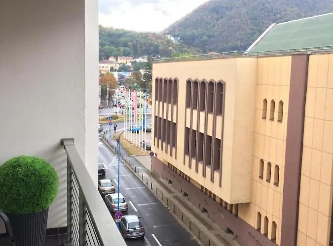 Flori De Iulie Brasov