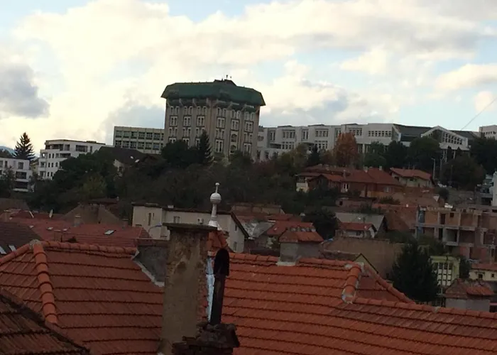 Flori De Iulie * Brasov